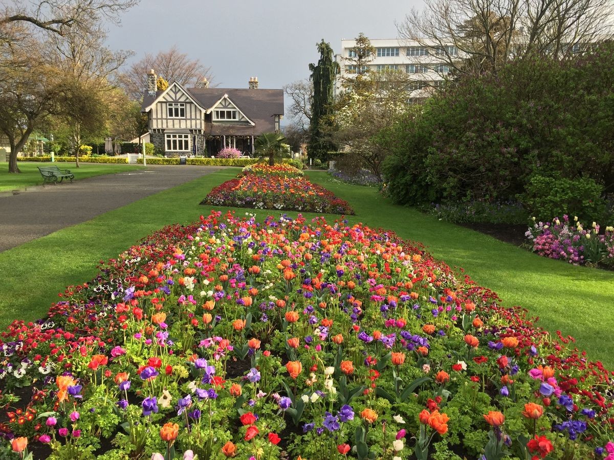 Beautiful flowers in Christchurch Botanic Garden Beautiful flowers in Christchurch Botanic Garden
